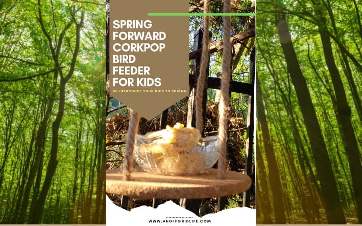 DIY Bird Feeder For Kids to Make