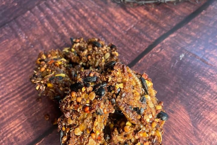 Close-up of two homemade crunchy DIY flock blocks of seed and nut clusters on a wooden surface.