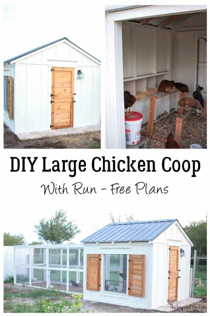 Collage of a white DIY chicken coop with a wooden door, interior view with chickens, and a connected outdoor run. Text reads: "DIY Large Chicken Coop With Run - Free Plans." Perfect inspiration for DIY chicken coops enthusiasts.