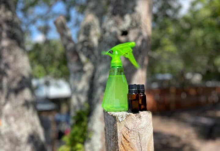DIY bug spray with essential oils.