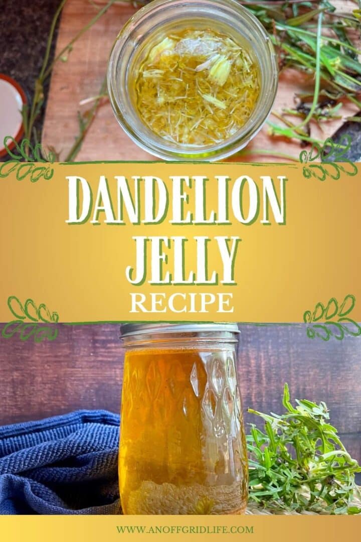 Dandelion jelly recipe.