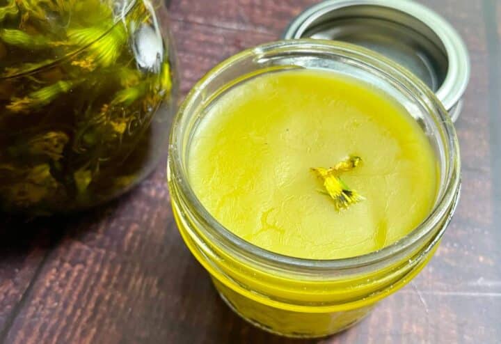 Dandelion oil and salve in glass jars.