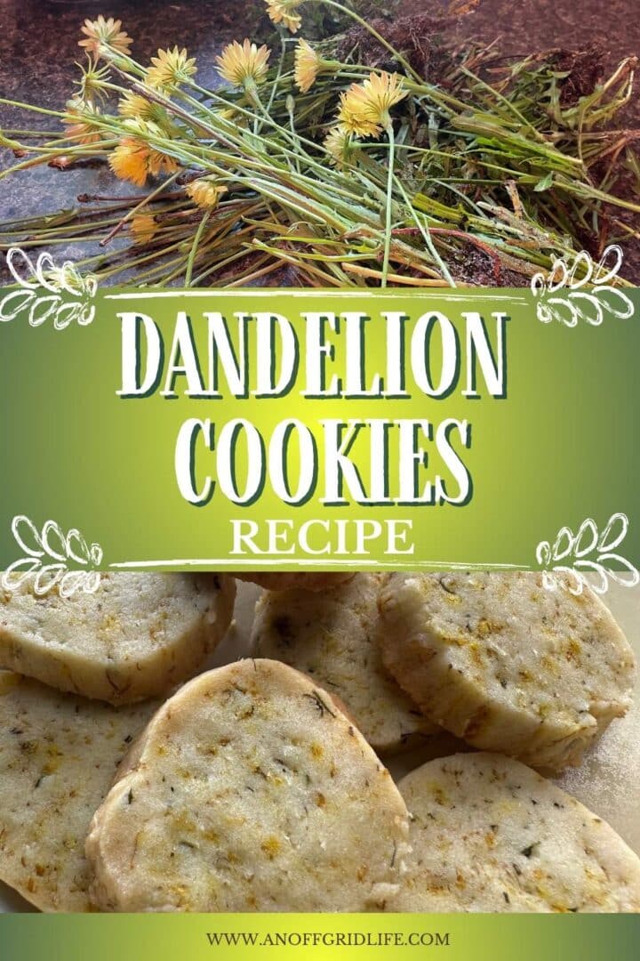 Dandelion shortbread cookies.