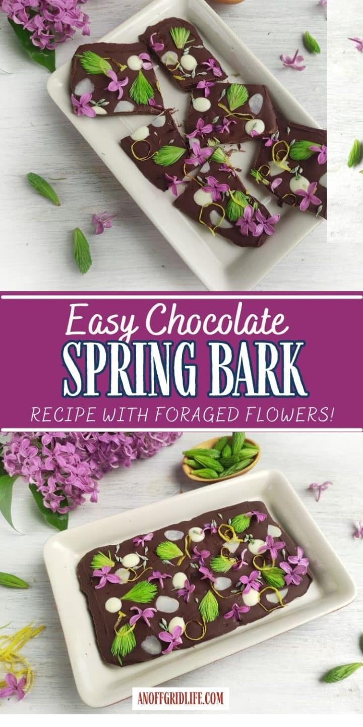 Chocolate bark topped with purple flowers and green herbs on a white tray. Text reads "Easy Chocolate Spring Bark - Recipe with Foraged Flowers!.