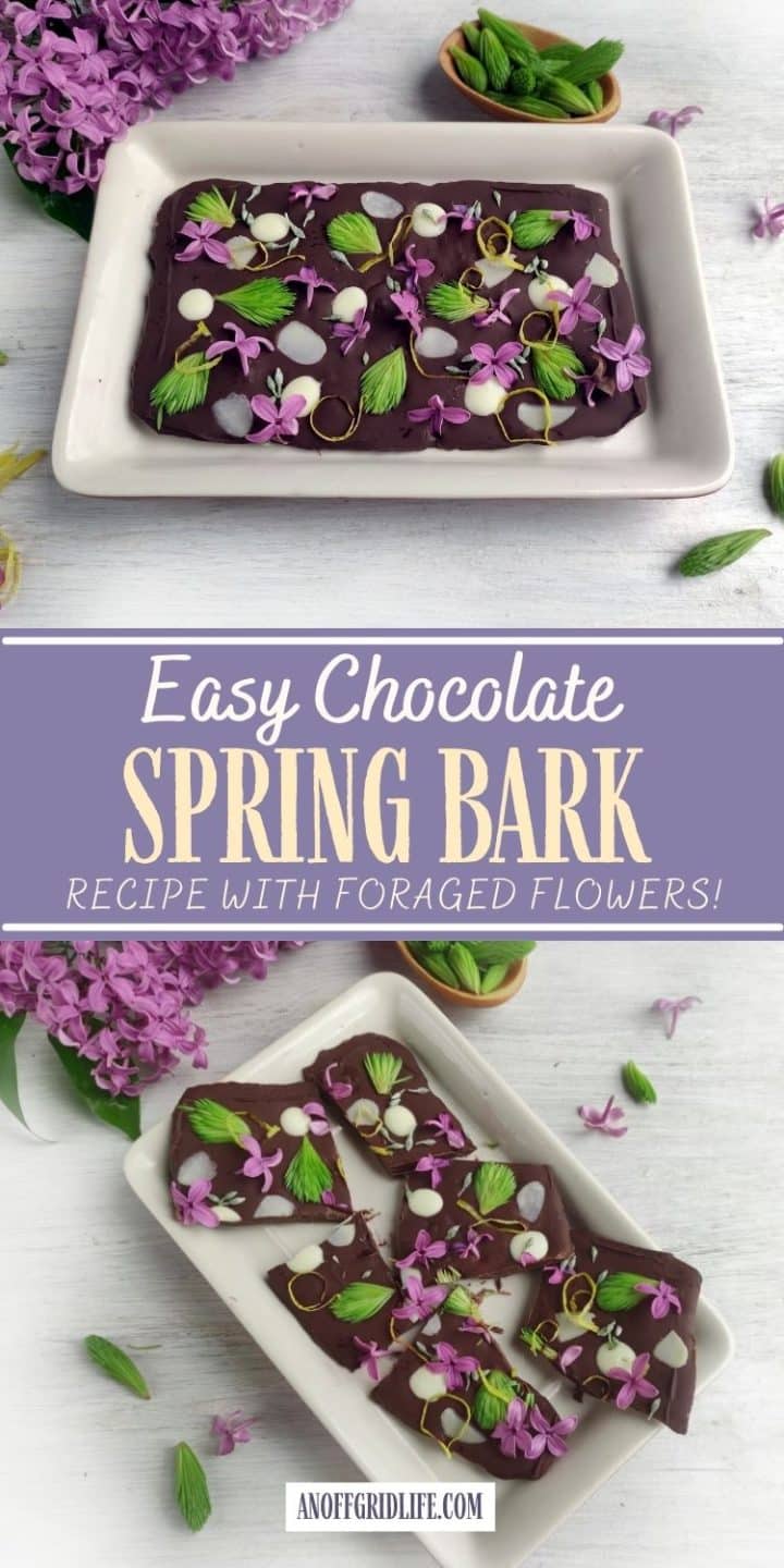 Two plates of chocolate bark topped with green leaves and purple flowers, labeled as "Easy Chocolate Spring Bark.