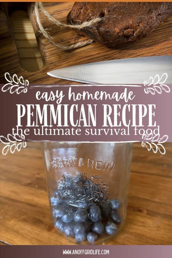 Easy homemade pemmican recipe the ultimate survival food.