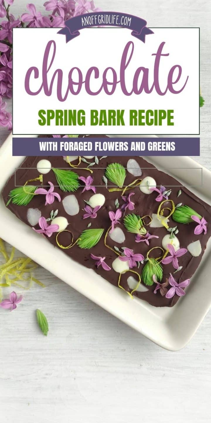 Chocolate bark topped with purple flowers, green leaves, and white petals, displayed on a white plate. Text reads "Chocolate Spring Bark Recipe with Foraged Flowers and Greens.
