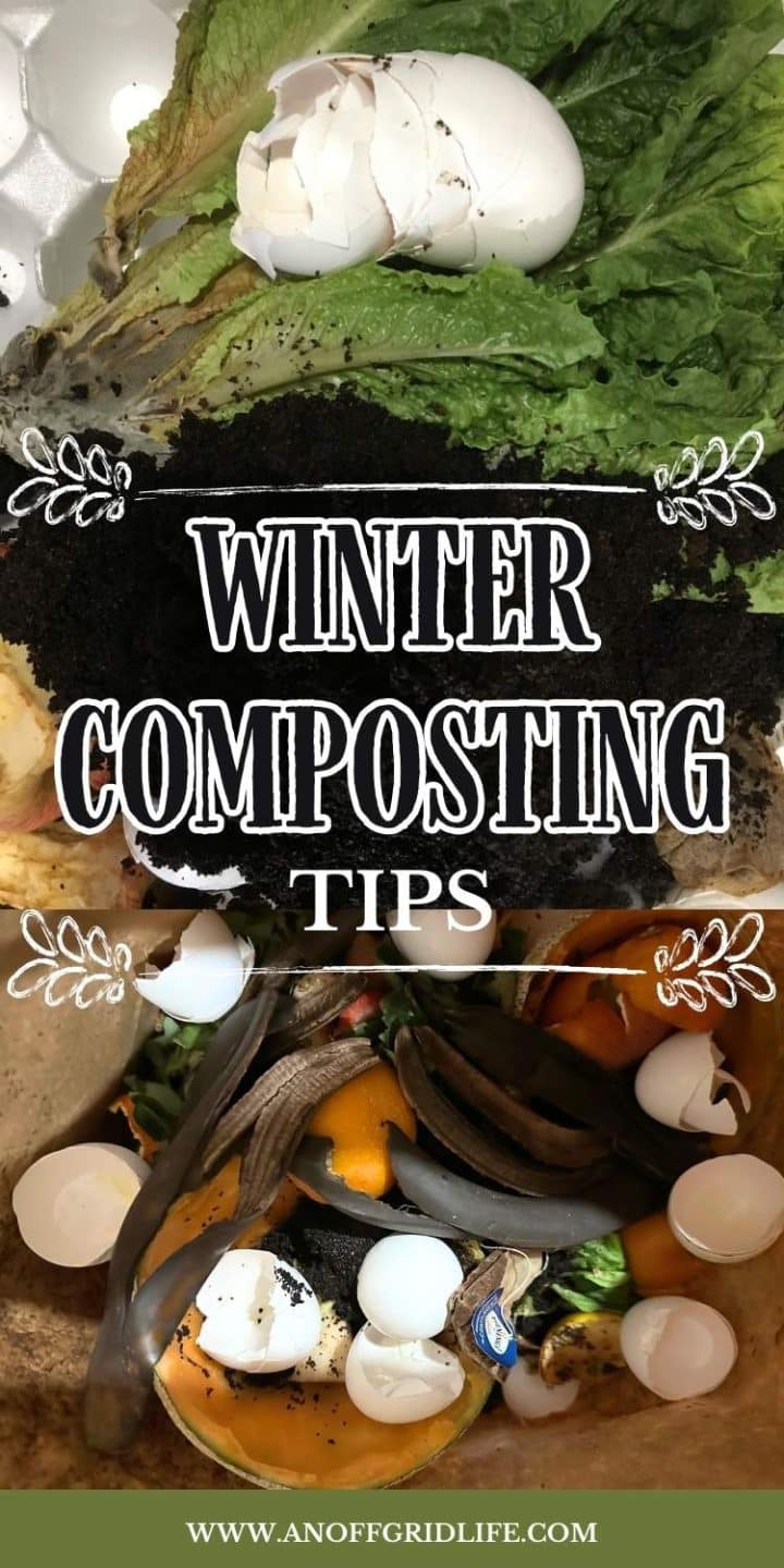 Collecting winter compost.