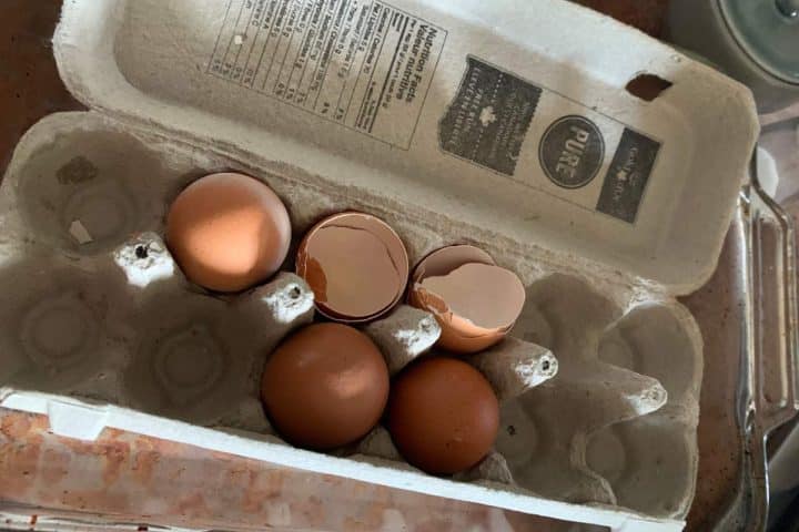 An open egg carton with four brown eggs, two of which are cracked and partially opened, sits on a countertop to add to compost starter.
