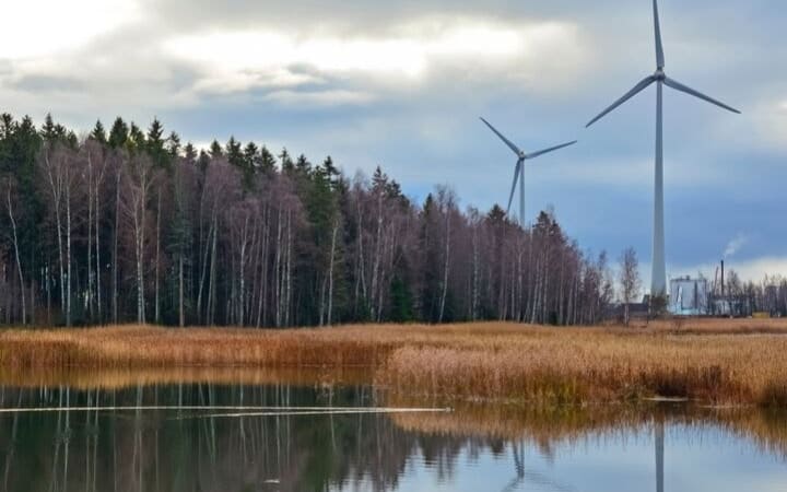 Wind turbines over trees