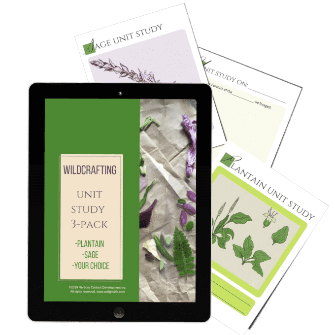An iPad displays a "Wildcrafting Unit Study 3-Pack" cover, surrounded by printed plant study worksheets labeled Sage, Plantain, and Unit Study—perfect for exploring foraging and wildcrafting with hands-on activities.