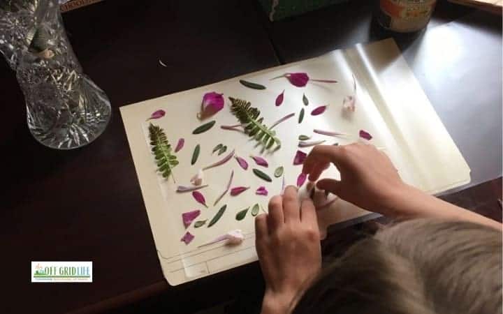 Pressed Wildcraft Bookmark.