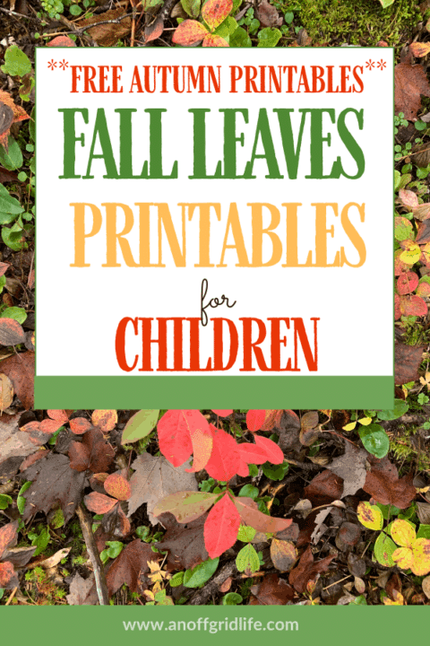 Fall Leaves Printables for Children - free download