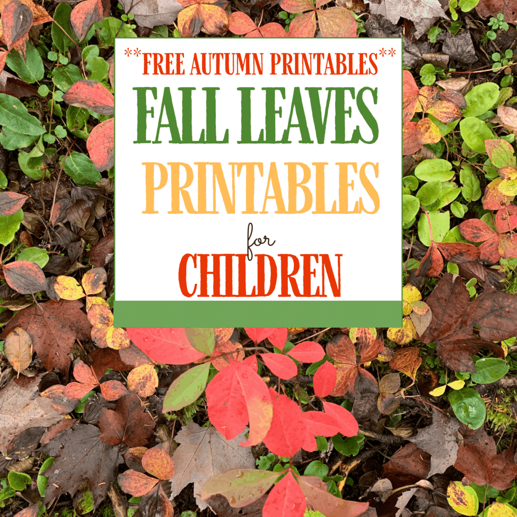 Looking for fall leaves printables and facts about leaves? Grab this free activity pack and unit study resources in your homeschool today!