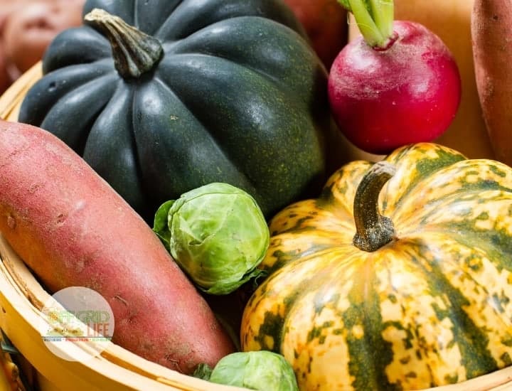 Acorn Squash, brussels sprouts and fall vegetables
