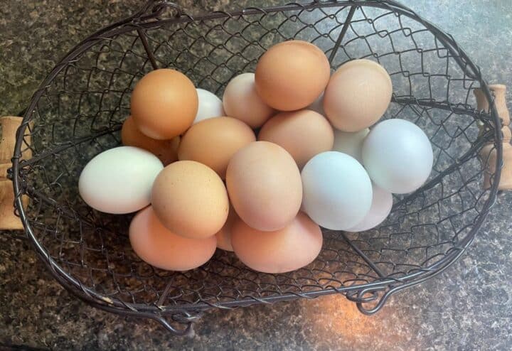 Farm fresh eggs in basket.