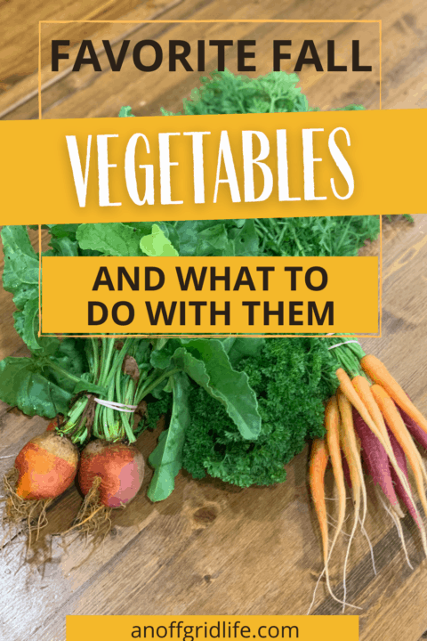Assorted fall vegetables, including carrots, beets, and leafy greens, are artfully arranged on a wooden surface with a text overlay highlighting the versatility of fall vegetables and their seasonal uses.