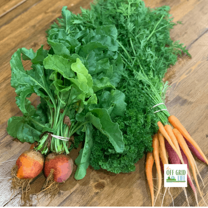 Fall Vegetables & What to Do With Them text overlay on image of carrots, beets