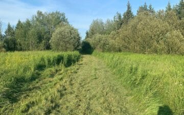 How to Find Homestead Land