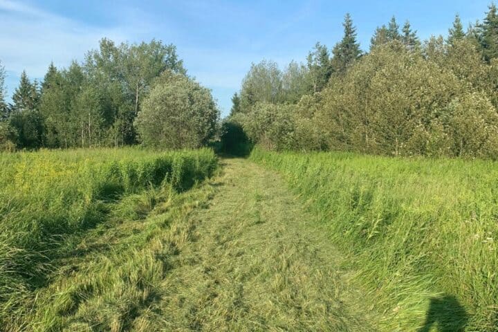 How to Find Homestead Land