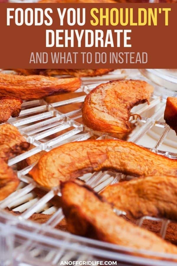 a pinterest image of dehydrated food on a plastic dehydrator, text overlay "foods you shouldn't dehydrate and what to do instead"