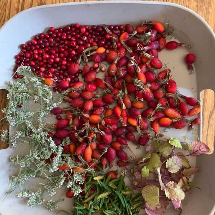 Foraged cranberries, rosehips, Labrador Tea