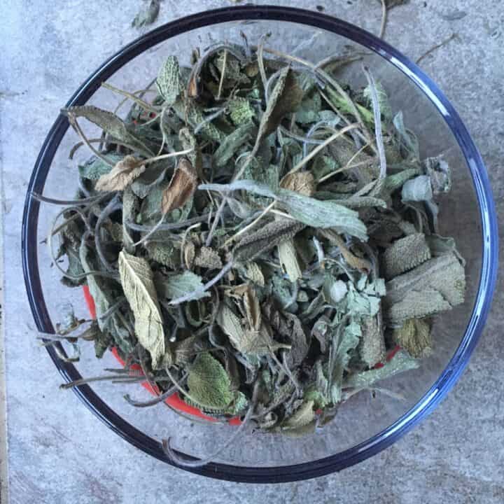 Foraged dried wild sage gathered in early winter