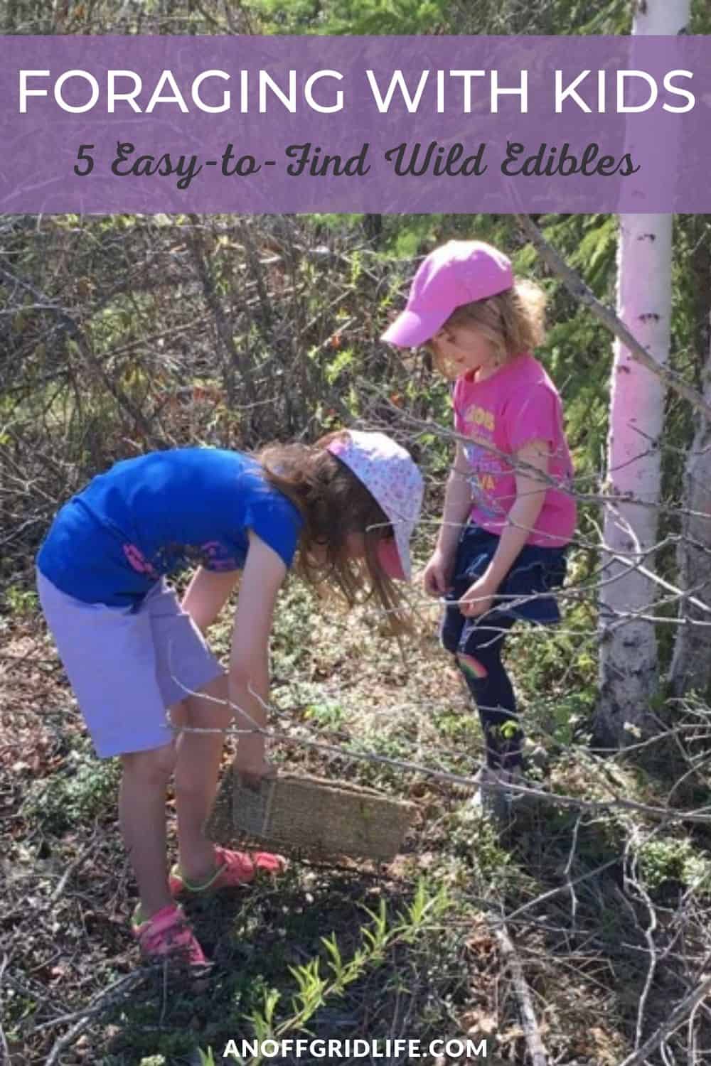 a pinterest image of two young girls foraging for plants with a wooden basket, text overlay "foraging with kids: 5 easy-to-find wild plant edibles"