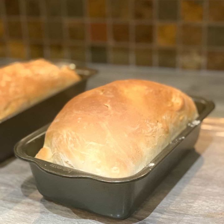 Frugal Sandwich Bread Loaf in Pan