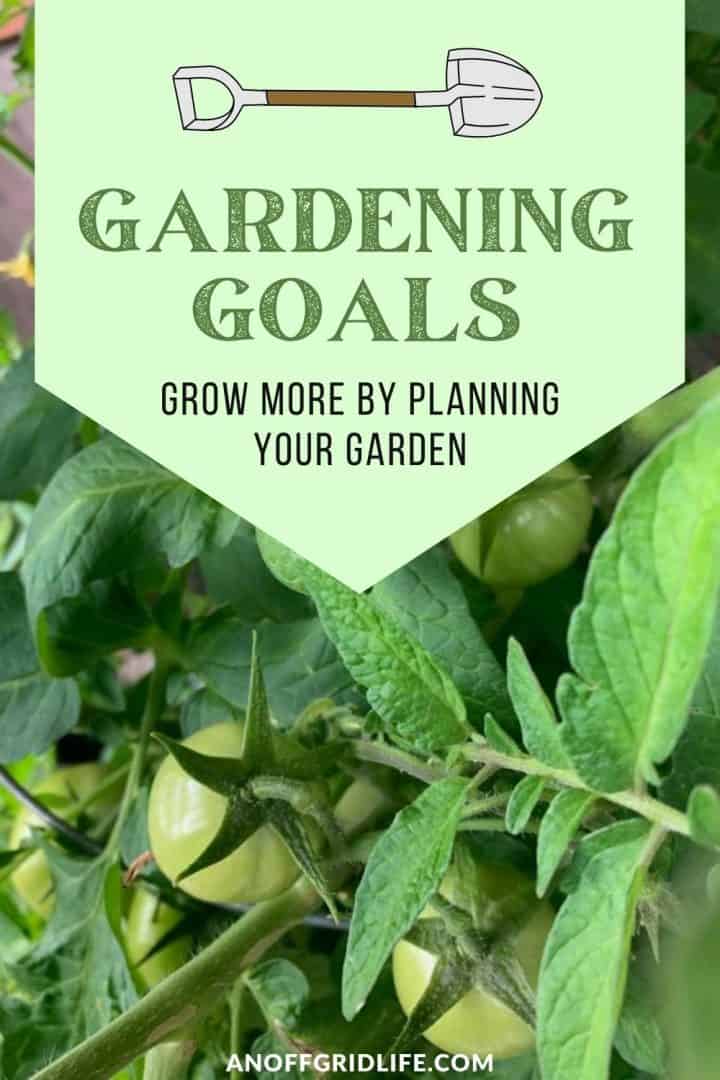 a pinterest image of green cherry tomatoes on the vine with text overlay "gardening goals: grow more by planning your garden"