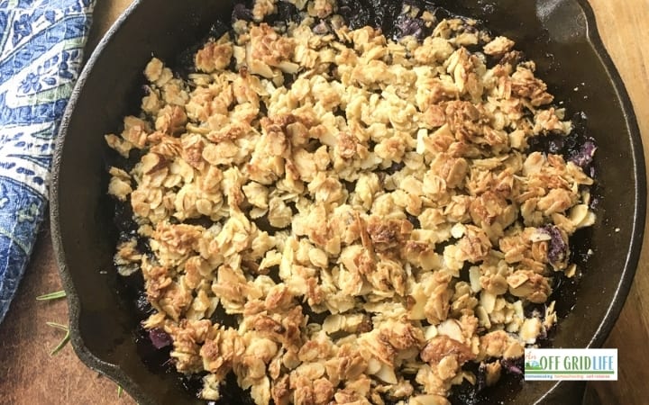 Gluten-Free Blueberry Crisp Recipe