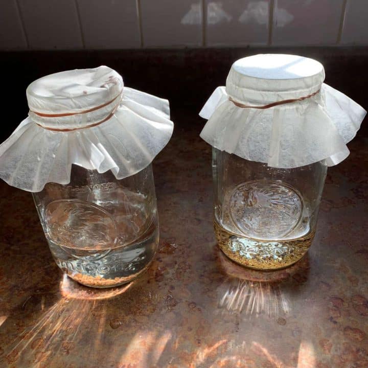 Two mason jars filled with water on a counter.