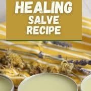 Pinterest Hidden Image