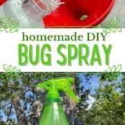 Pinterest Hidden Image