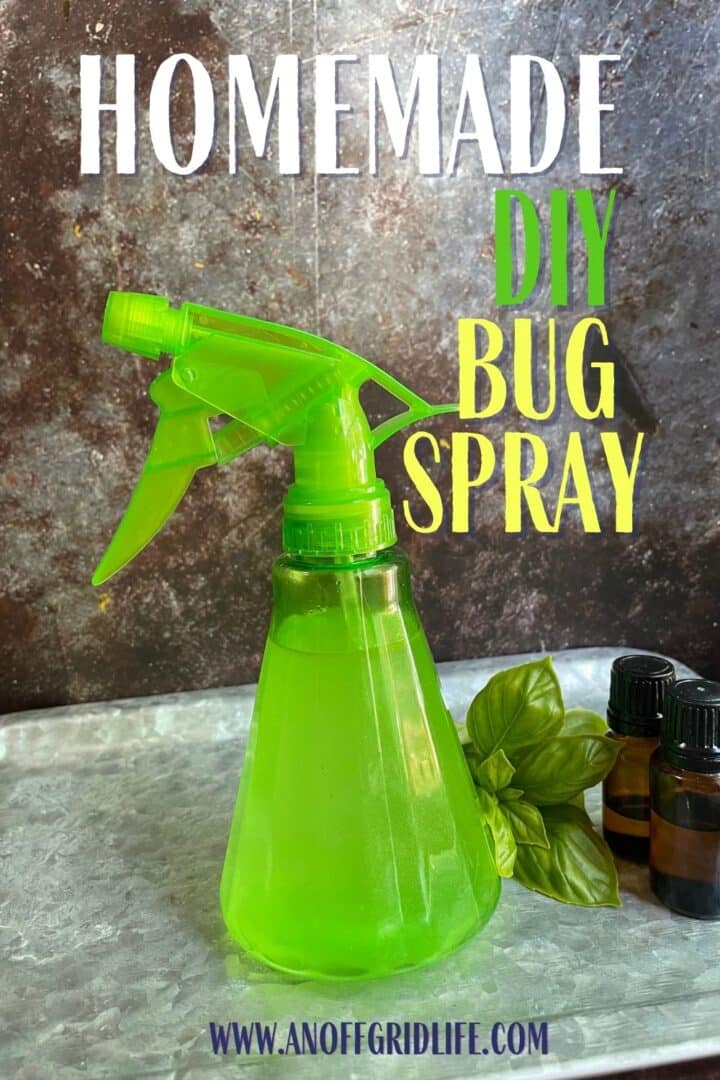 Homemade DIY bug spray
