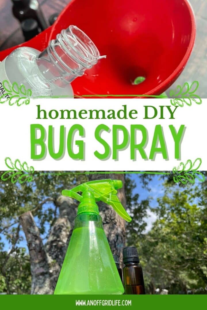 Homemade DIY bug spray.