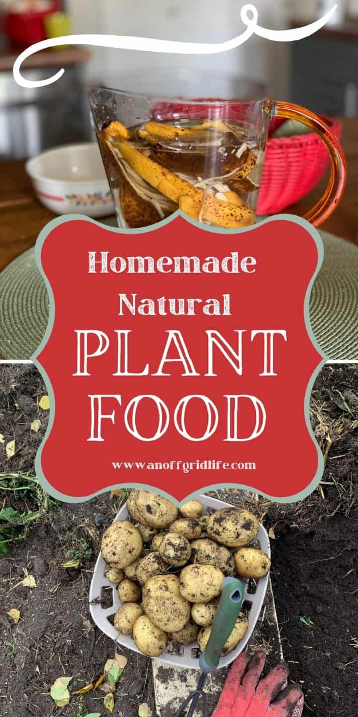 Homemade Natural Plant Food text overlay on image of banana peels in water and homegrown potatoes in garden