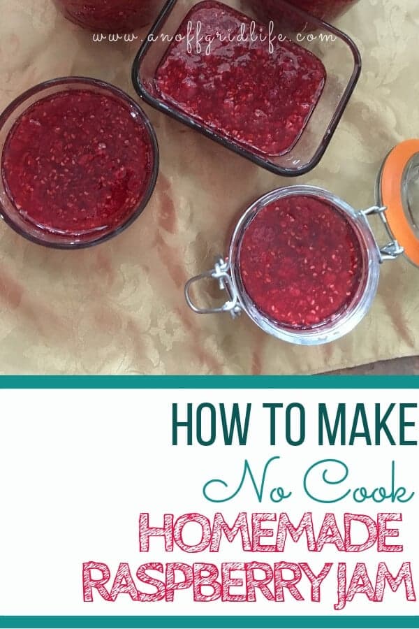 Learn How to Make No Cook Jam With Everbearing Raspberries - Our Favourite Homemade Jam Recipe!