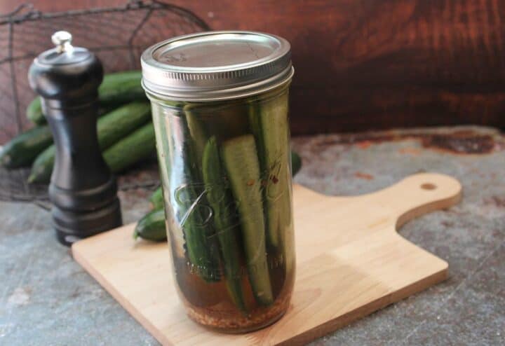 Homemade Refrigerator Garlic Dill Pickle Canning Recipe