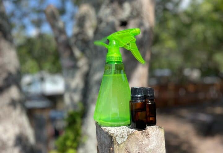Homemade bug spray in plastic container.