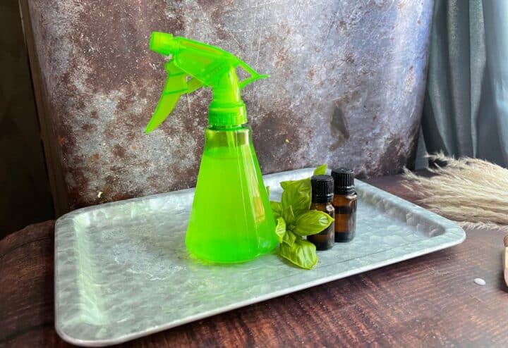 Homemade bug spray made with essential oils.