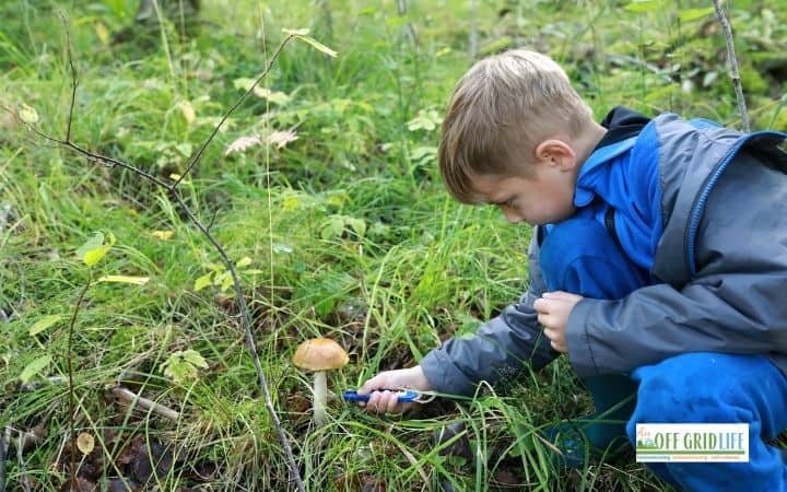A young boy in a blue raincoat crouches in a grassy forest, using a tool to collect a mushroom—capturing the hands-on learning spirit of forest schools.