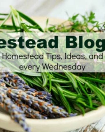 Homestead Blog Hop text overlay on bowl of wild lavendar