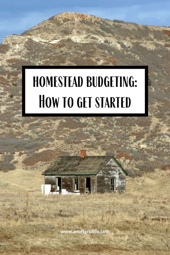 Homestead Budgeting: How to Get Started text overlay on image of abandoned homestead