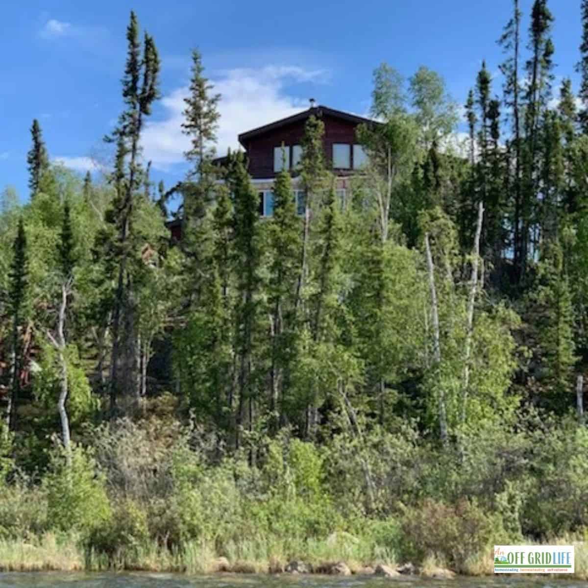 an off grid cabin above a lake, surrounded by green trees