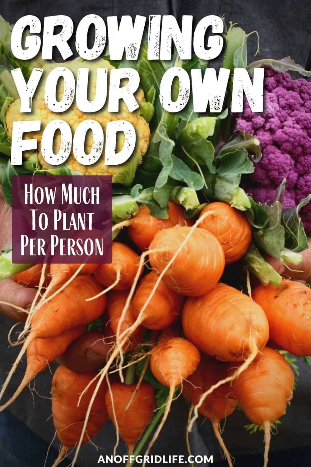 a pinterest image of a bunch of carrots, purple cauliflower and other vegetables, text overlay "growing your own food: how much to plant per person"