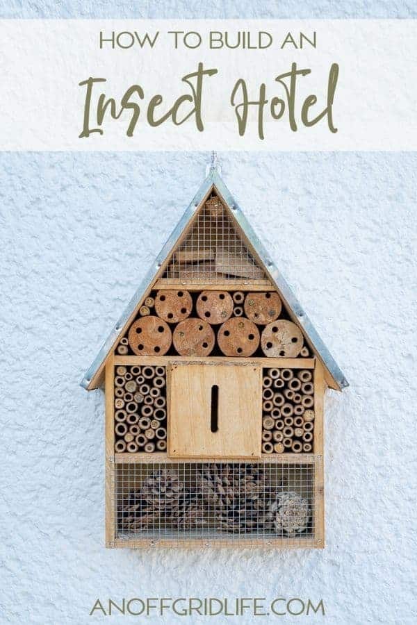 How to Build an Insect Hotel text overlay on image of insect hotel.