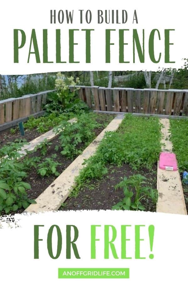 a pinterest image of a garden bed surrounded by a wooden pallet fence, text overlay "how to build a pallet fence for free"
