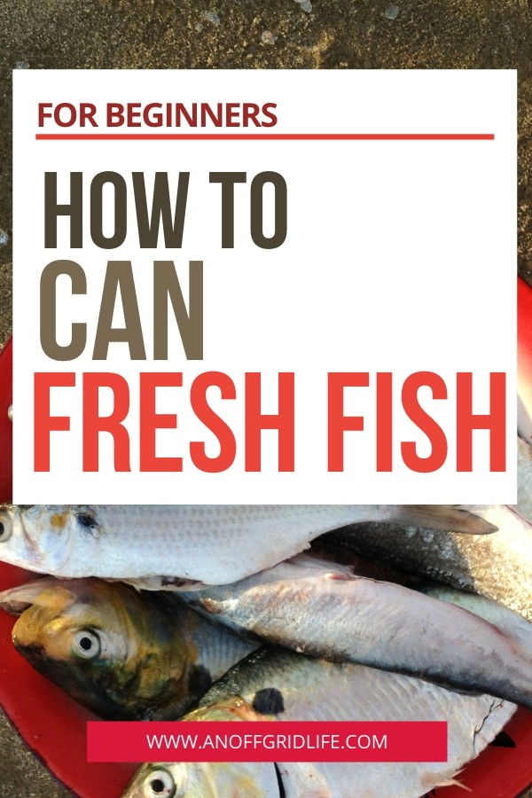 How to Can Fresh Fish text overlay on fresh fish in a red bowl