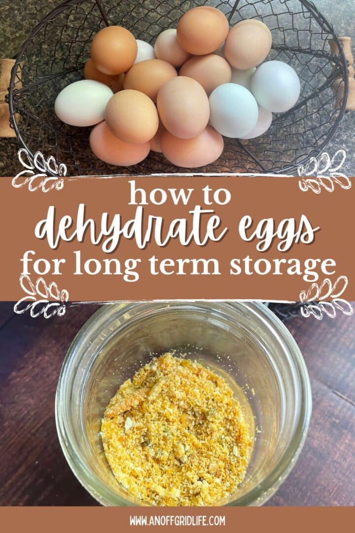 How to Dehydrate Eggs for Long Term Home Storage and Use